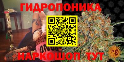 mdma Михайловка
